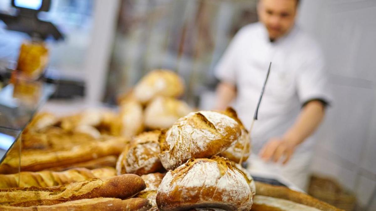 Panadería cerca de mí en Valencia: descubre dónde encontrar el mejor pan artesanal 1 5e9982c0de83f
