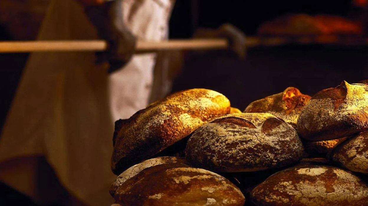 Panadería cerca de mí en Barcelona: 1 guía definitiva para encontrar el mejor pan artesanal 1 panadería cerca de mí en málaga